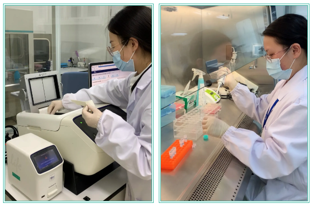 上海環(huán)境檢測咨詢服務有限公司