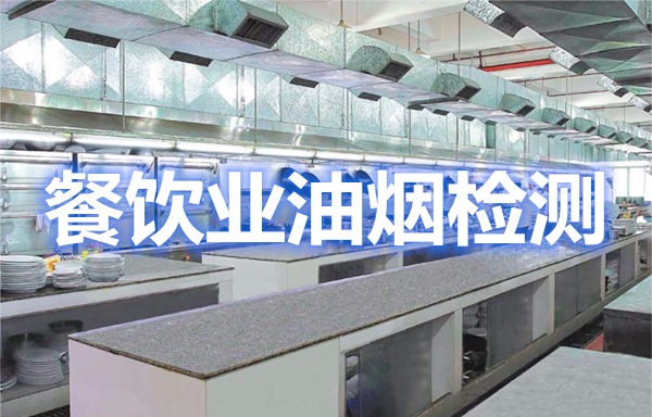 上海環境檢測咨詢服務有限公司 上海環境檢測咨詢服務有限公司