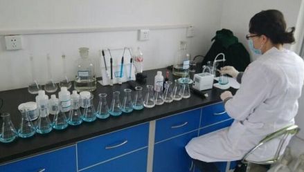 上海環境檢測咨詢服務有限公司