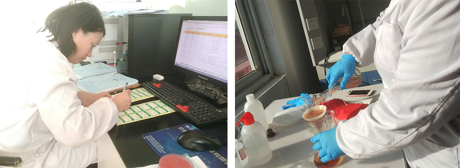 上海環境檢測咨詢服務有限公司 上海環境檢測咨詢服務有限公司