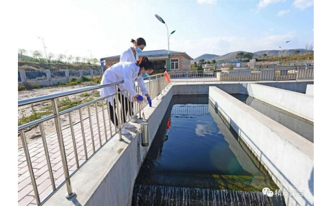 污水排放水質(zhì)檢測