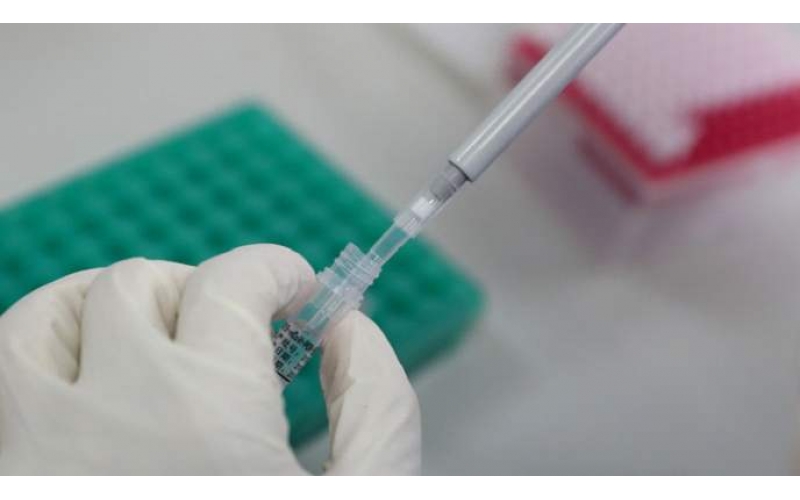 上海市衛(wèi)健委公布各區(qū)新冠病毒核酸檢測信息表